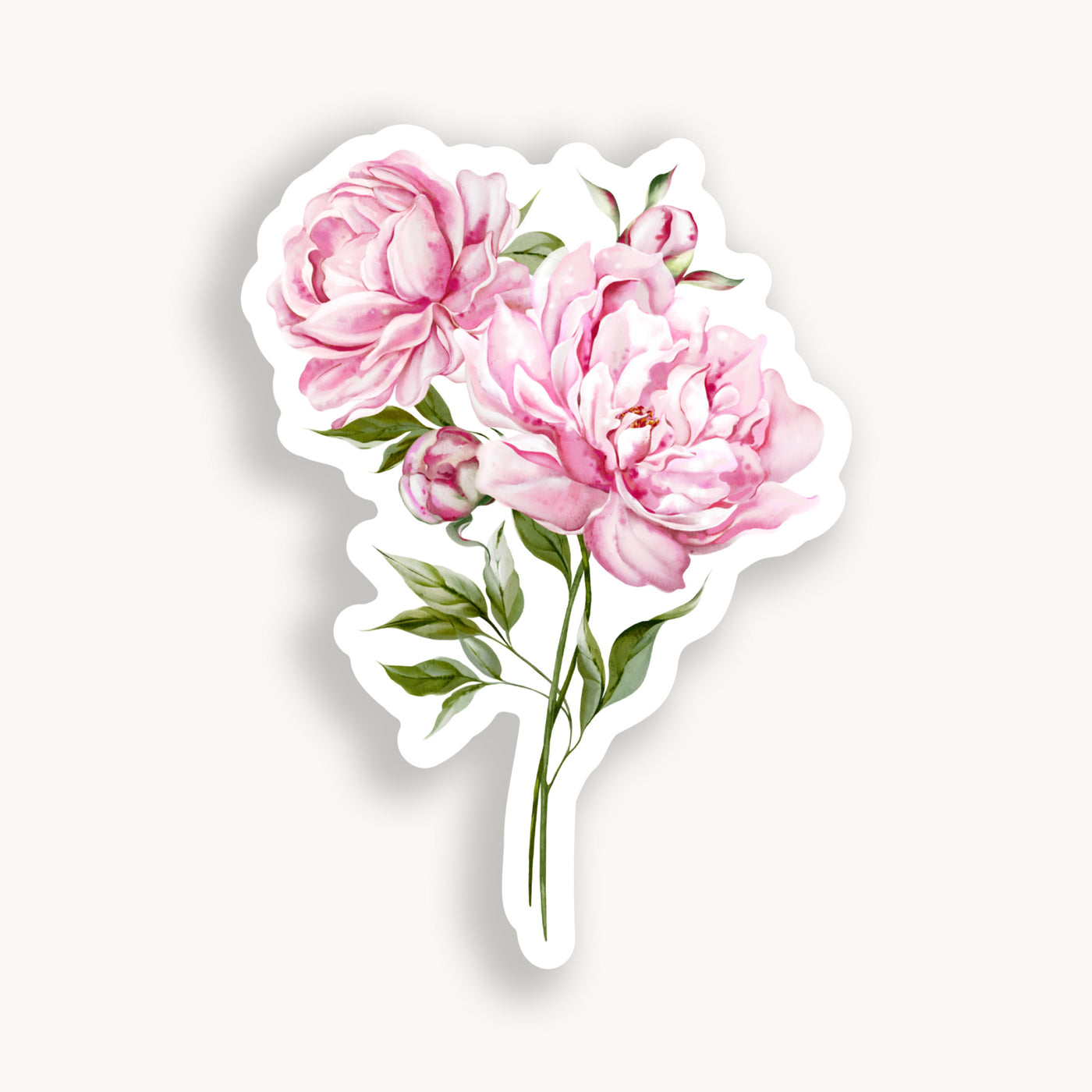 Pink Peony Sticker